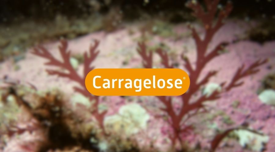 Carragelose® scientific publications